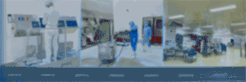 20241209889941.gif